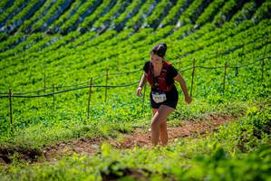 BIB: 2985
                            <button type="button" onclick="openModal(19162634)" class="btn btn-primary btn-sm float-right btn-popup" data-toggle="modal" data-target=".modal-high-quality">
                        <i class="fas fa-shopping-cart"></i> Add to Cart
                    </button>
                                            <button type="button" onclick="isThisMe(19162634, true)" class="btn btn-success btn-sm float-right btn-popup btn-isme hidden" data-toggle="tooltip" data-placement="bottom" title="นี่คือรูปของคุณใช่ไหม คลิกที่นี่เพื่อเอาเข้าอัลบั้ม">
                        <i class="fas fa-plus"></i> Add to album
                    </button>
                    <button type="button" onclick="isThisMe(19162634, false)" class="btn btn-warning btn-sm float-right btn-popup btn-isnotme hidden">
                        <i class="fas fa-ban"></i> Remove from album
                    </button>